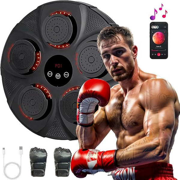Music Boxing Target Training Wall Target Fitness Equipment